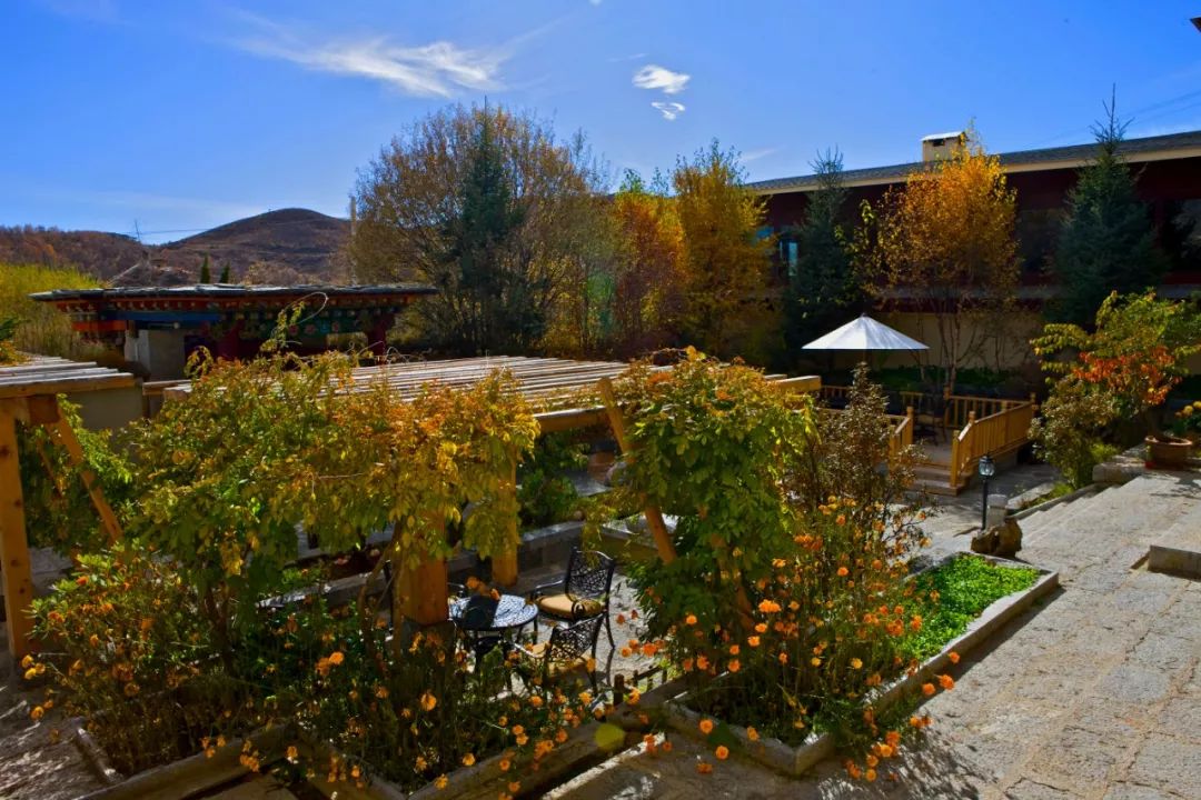 暑假亲子游的最好去处是和云南松赞来一场亲密接触