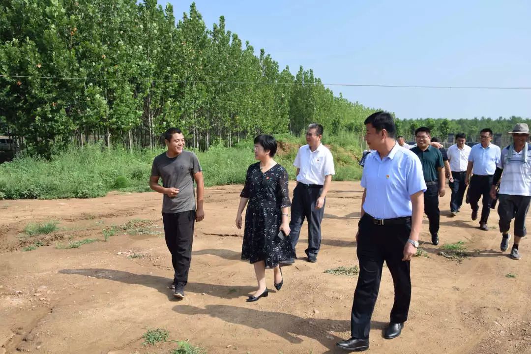 市委常委统战部长付玲到老城街道调研人才工作