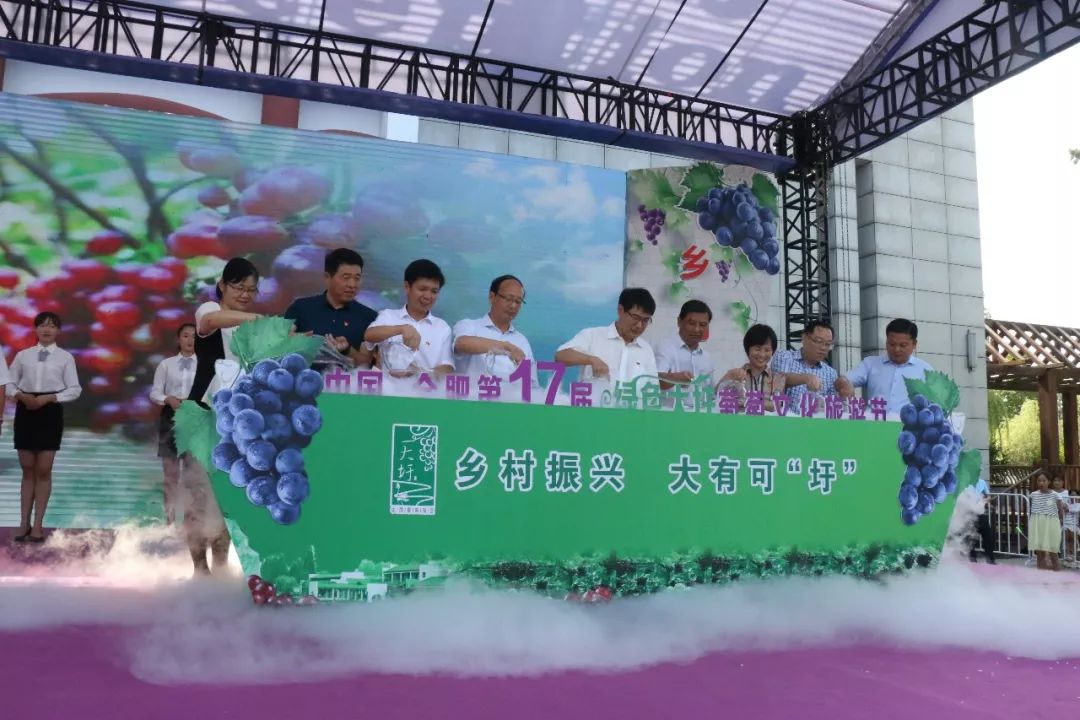 第十七届绿色大圩葡萄文化旅游节火热开幕未来两个月只圩你甜