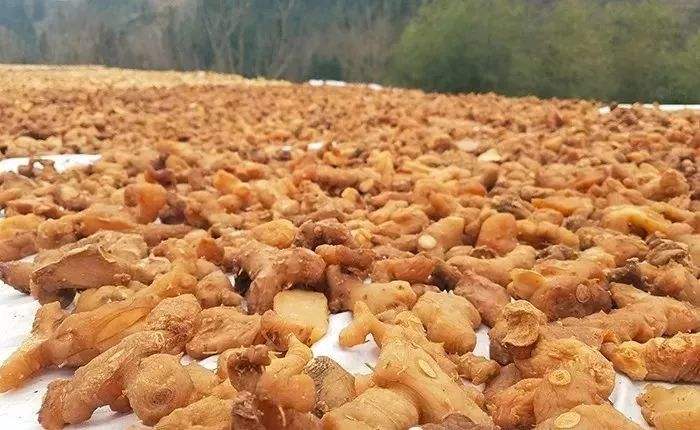 黄精--人体进补之精品