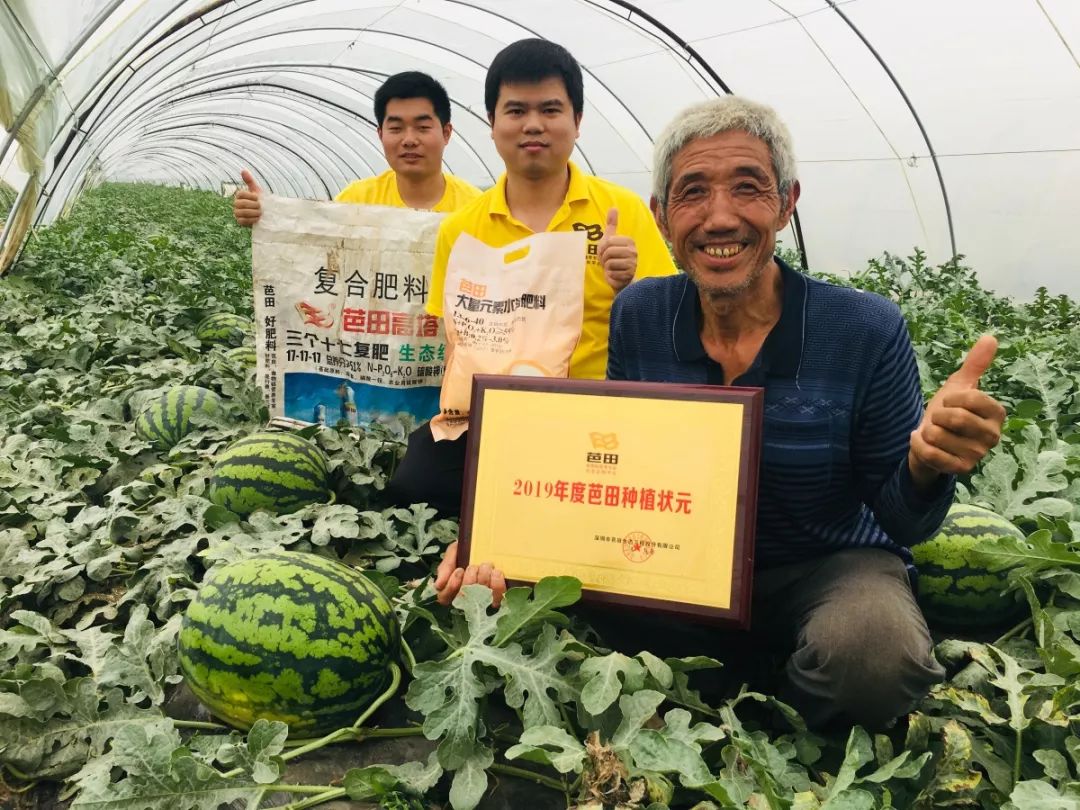 芭田肥有多好西瓜種植狀元自述肥效體驗全過程