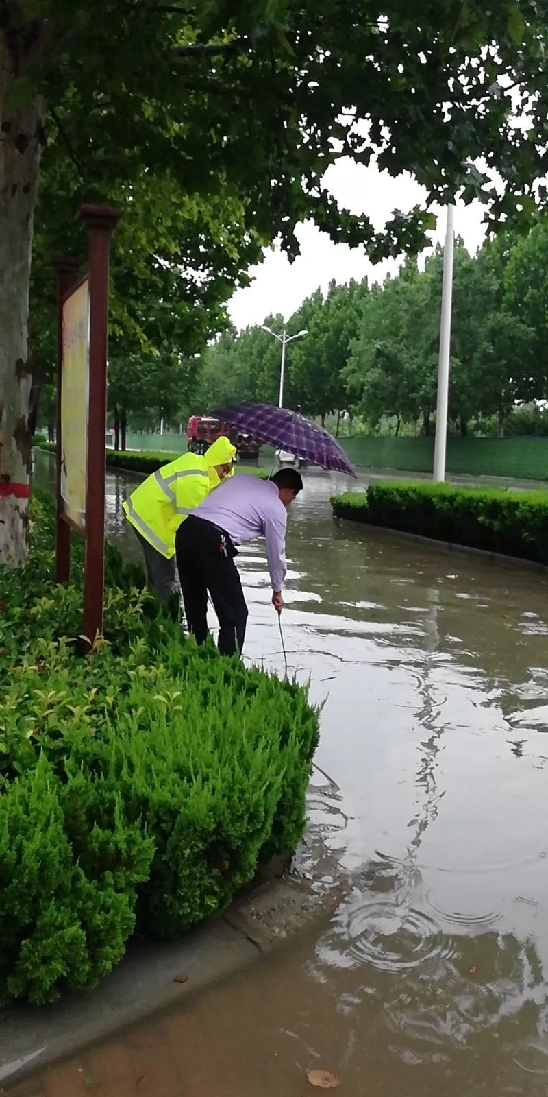 新乡长垣暴雨图片