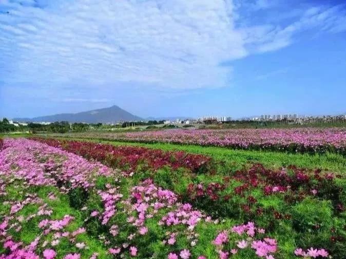 忽而今夏,来上塘银饰小镇,感受不一样的七夕!_莆田