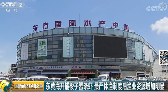 批发采购新趋势：精准与快捷双管齐下
