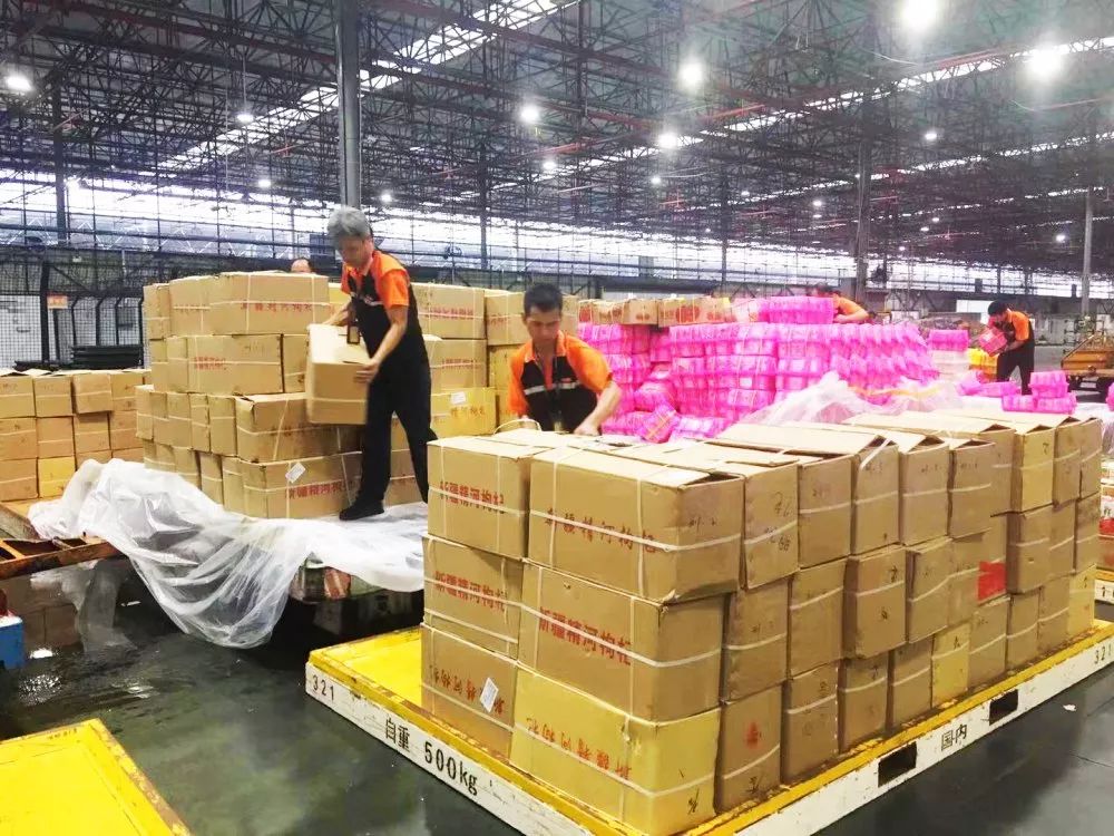 日均13吨飞抵羊城白云机场货站迎来枸杞运输高峰