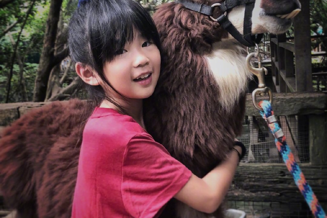 曹格女儿grace近照大长腿女神范十足