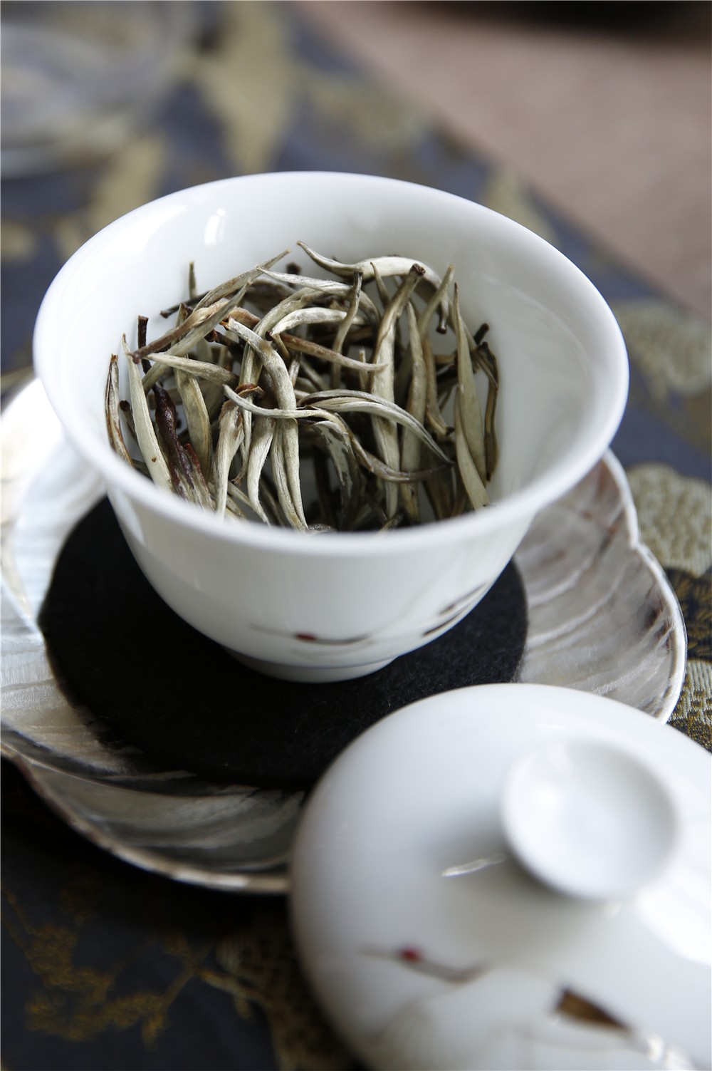 景谷丨古老的白茶品种秧塔大白茶