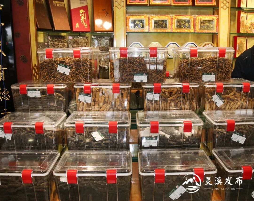高大上健康产业综合体来了参茸市场二期预计10月开门营业