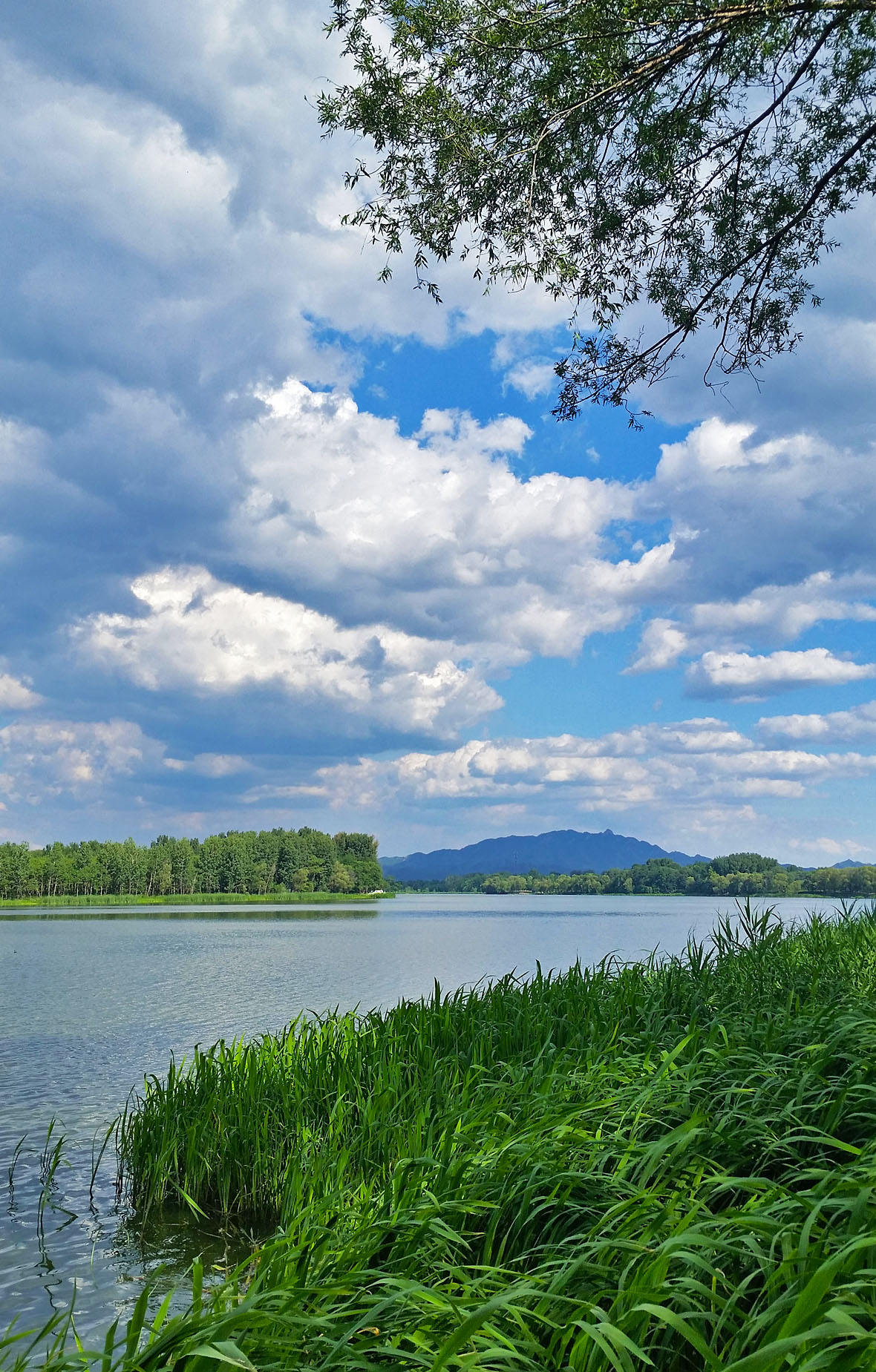 自驾游,延庆世园会边的妫水河,一条绝美的河_永宁镇