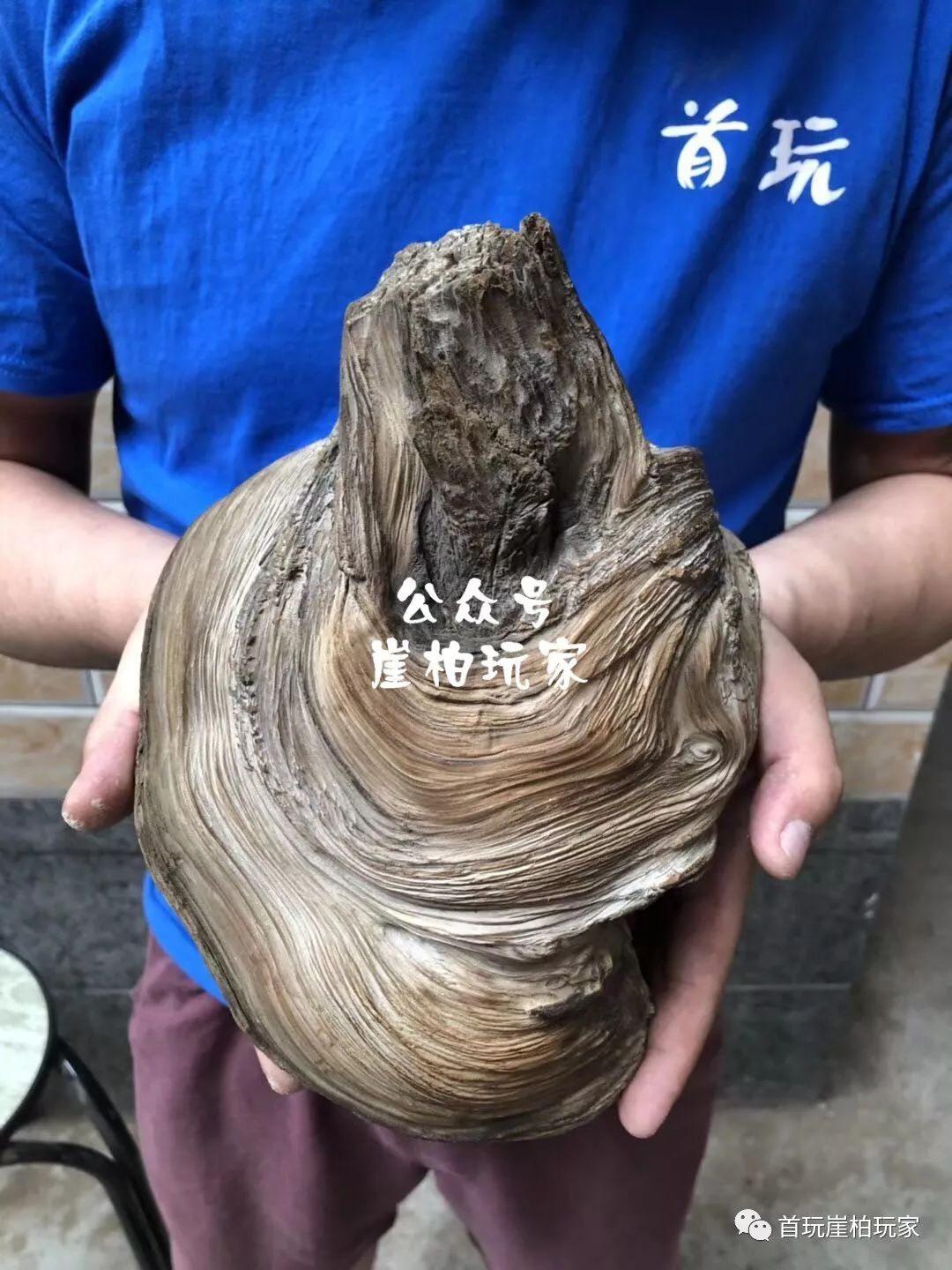 崖柏里面最牛的三种,永远都在升值!