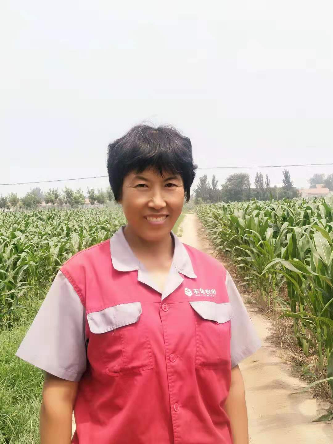 互联网农业让农村妇女有了新职业最高月创业绩16万