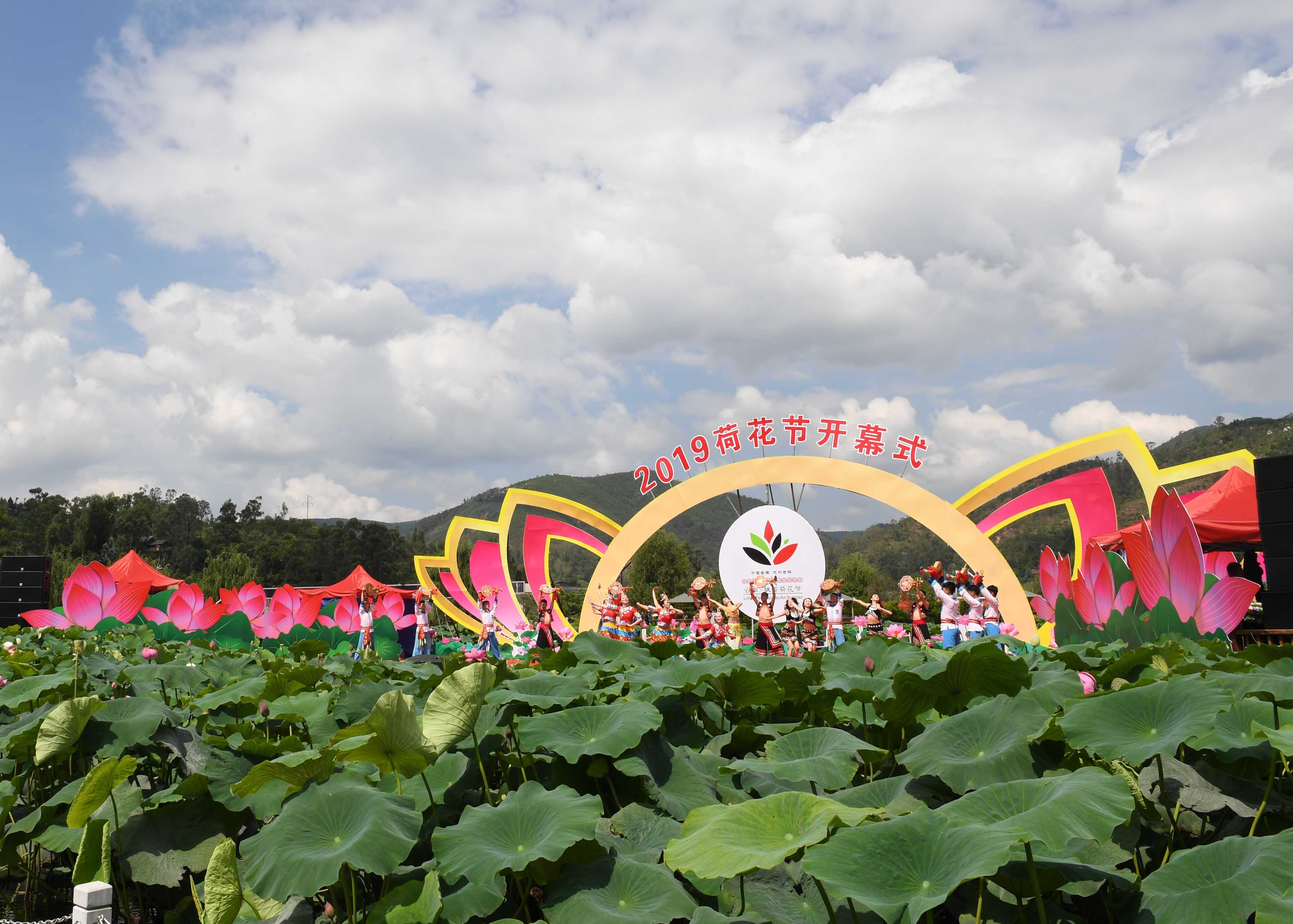 8月2日,演员在荷花节开幕式上表演舞蹈