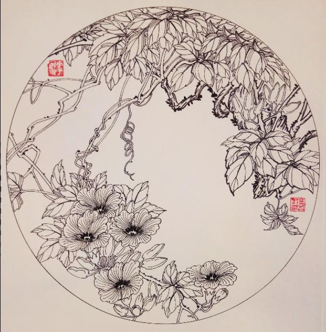 再來一波葉志軍先生的鋼筆白描花卉想必你會喜歡吧