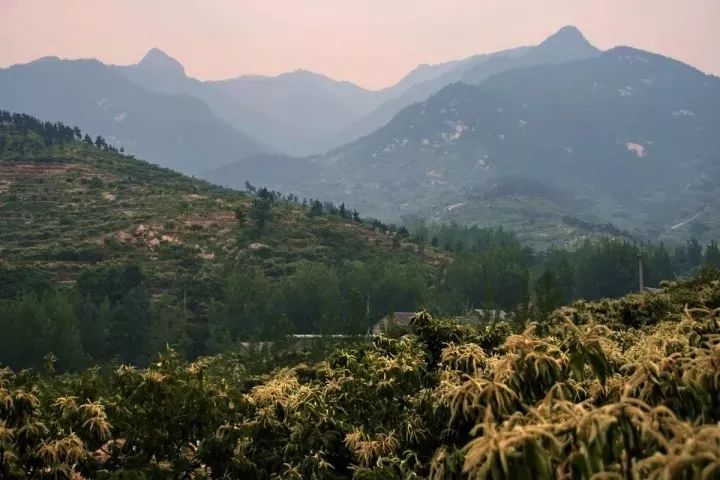 蒙山高,沂水长,沂蒙山区好地方.临沂,古称沂州府,琅琊.