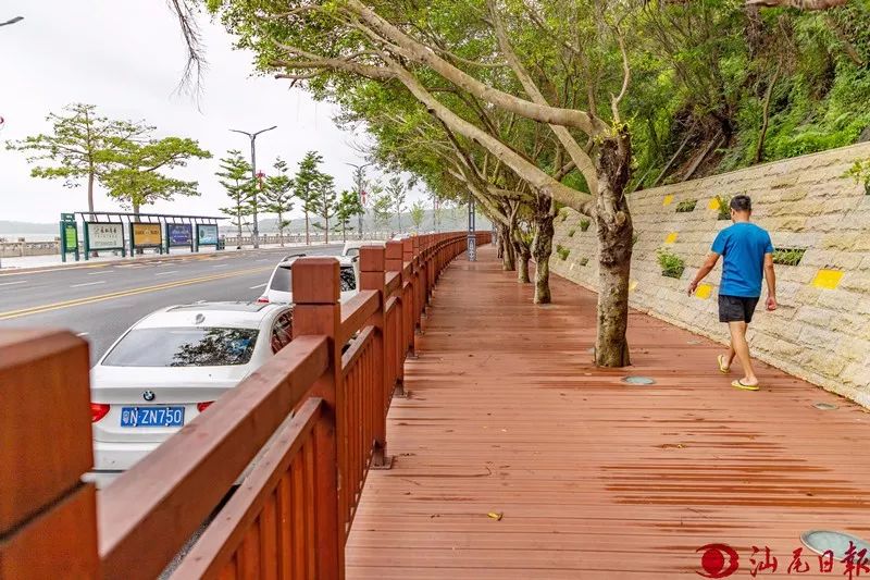 微报我市首条人行木栈道投入使用