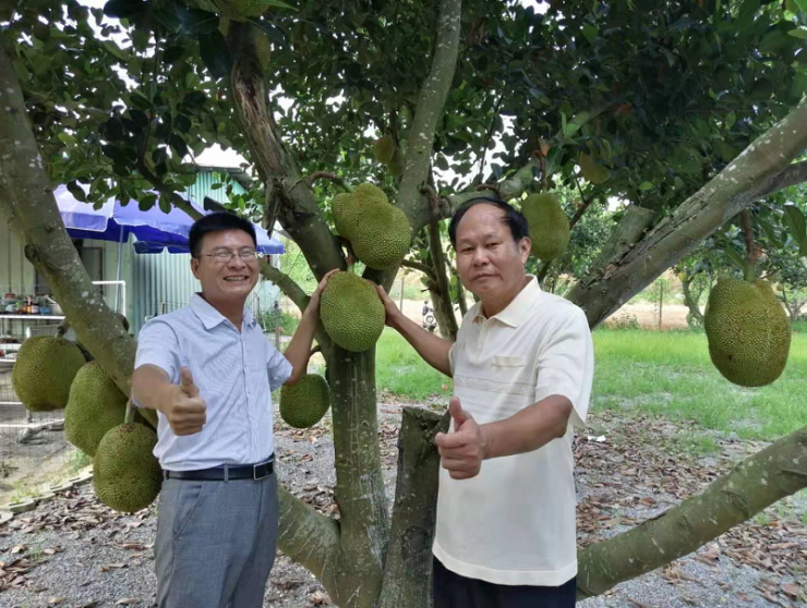 惠州花果山传奇庄园图片