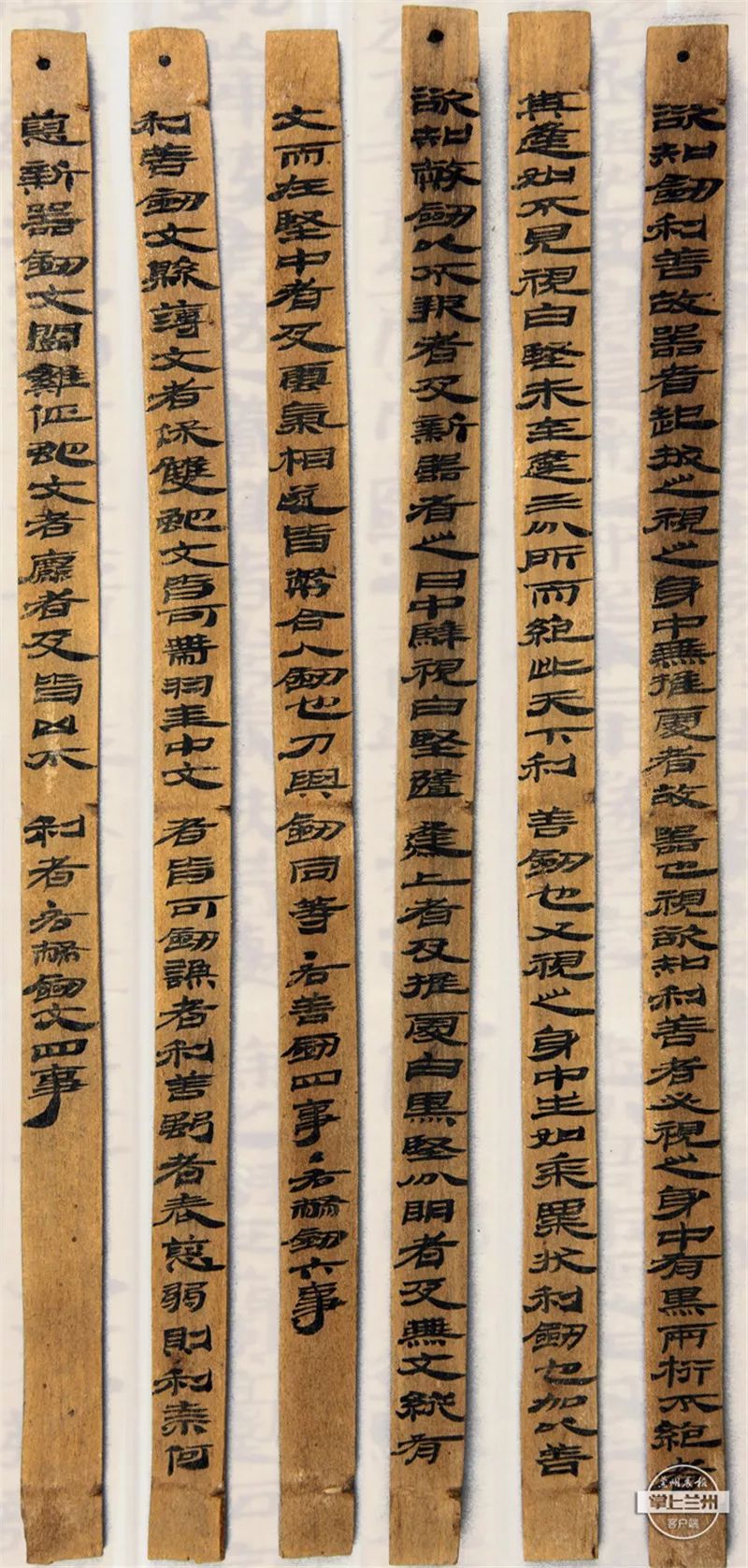 你可能第一次见吧?