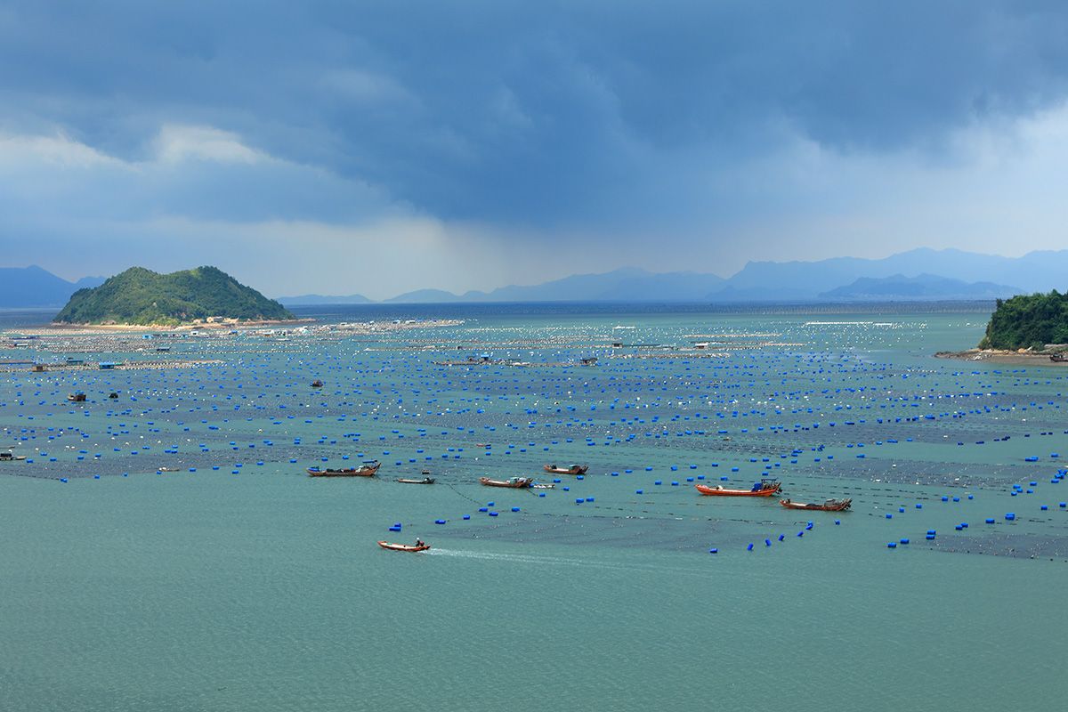 国际滩涂摄影基地,霞浦东安岛,海上威尼斯_养殖