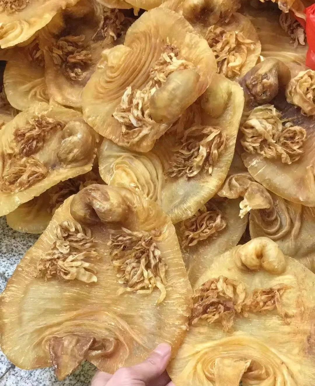 鱼胶大讲堂市场乱象之鸭脷胶