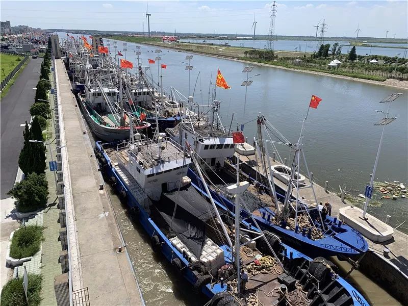 如东首批海鲜今晚到港!