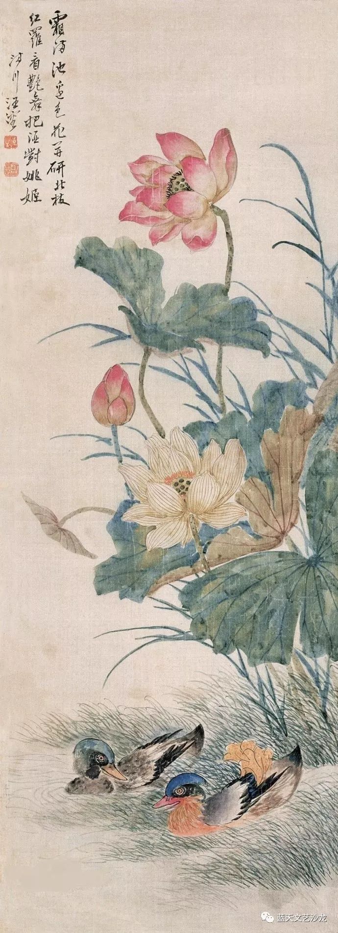 大师心中别样荷塘:吴湖帆与汪慎生_荷花