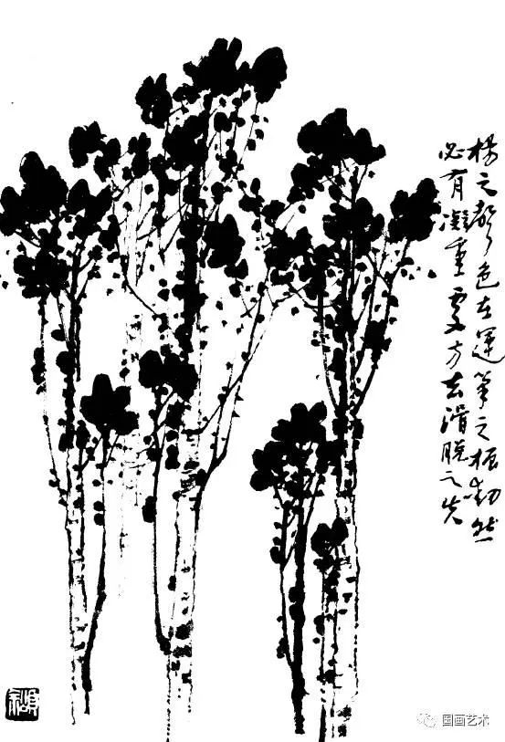 百树谱百树画谱收藏备用