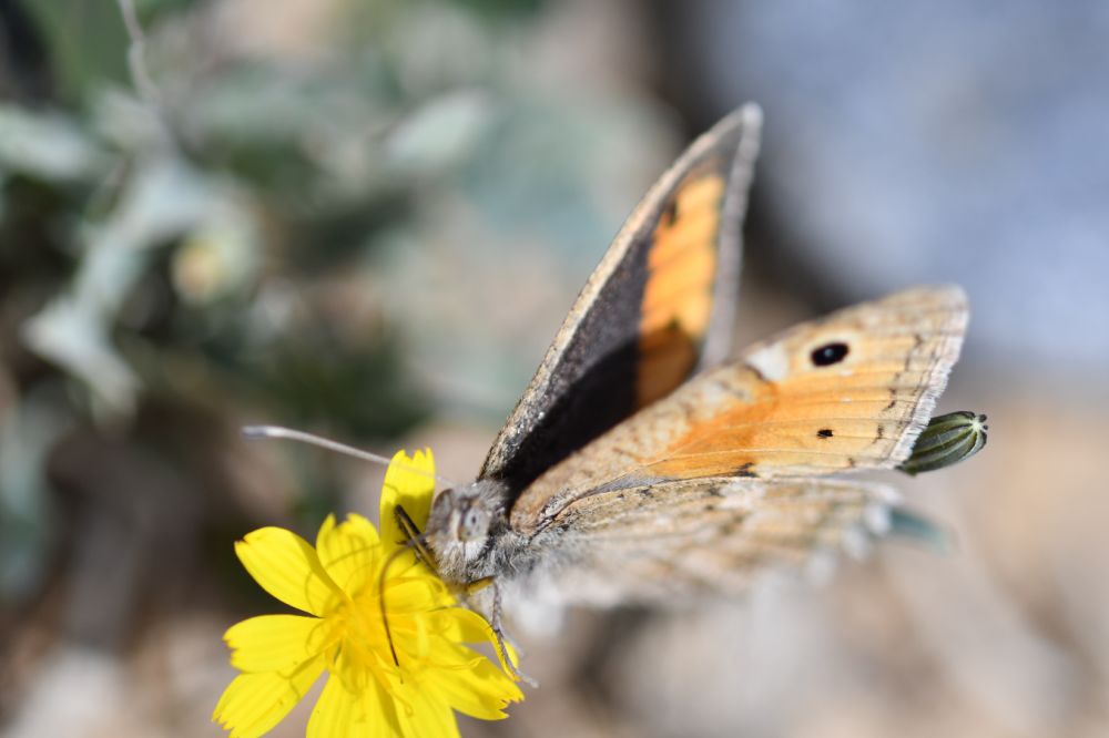 【行摄】瞬息万变的光影,是可遇不可求的感动