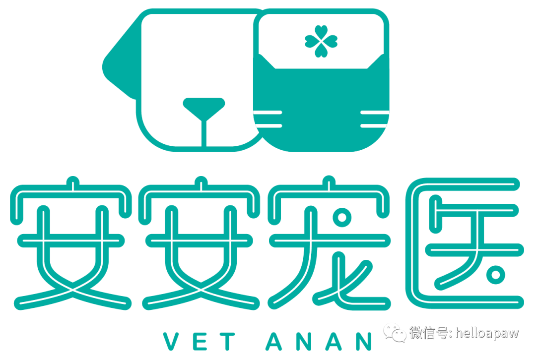 安安宠医中海环宇城南枝摄影南枝社 汉文化工作室毛孩鲜生321宠物照相