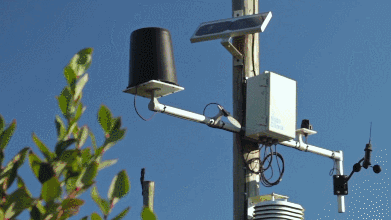 391_220gif 动态图 动图