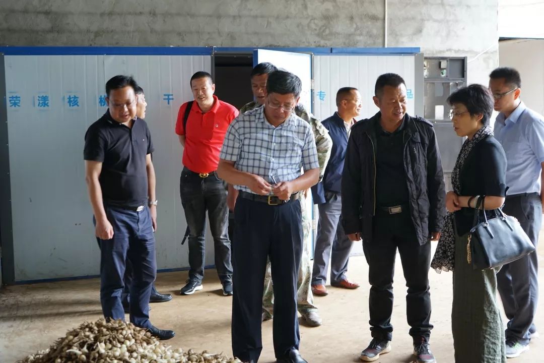 港沿镇考察组一行在援滇干部,永德县县委常委,县人民政府副县长郭焰