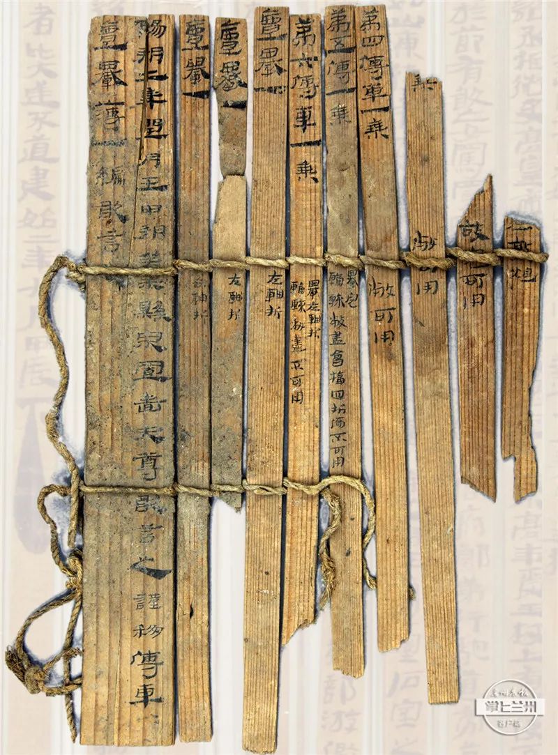 你可能第一次见吧?