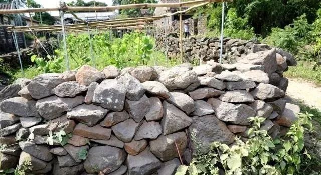 用火山石(玄武岩)堆砌起来的房子用石头垒起的围墙用石头垒起的菜地
