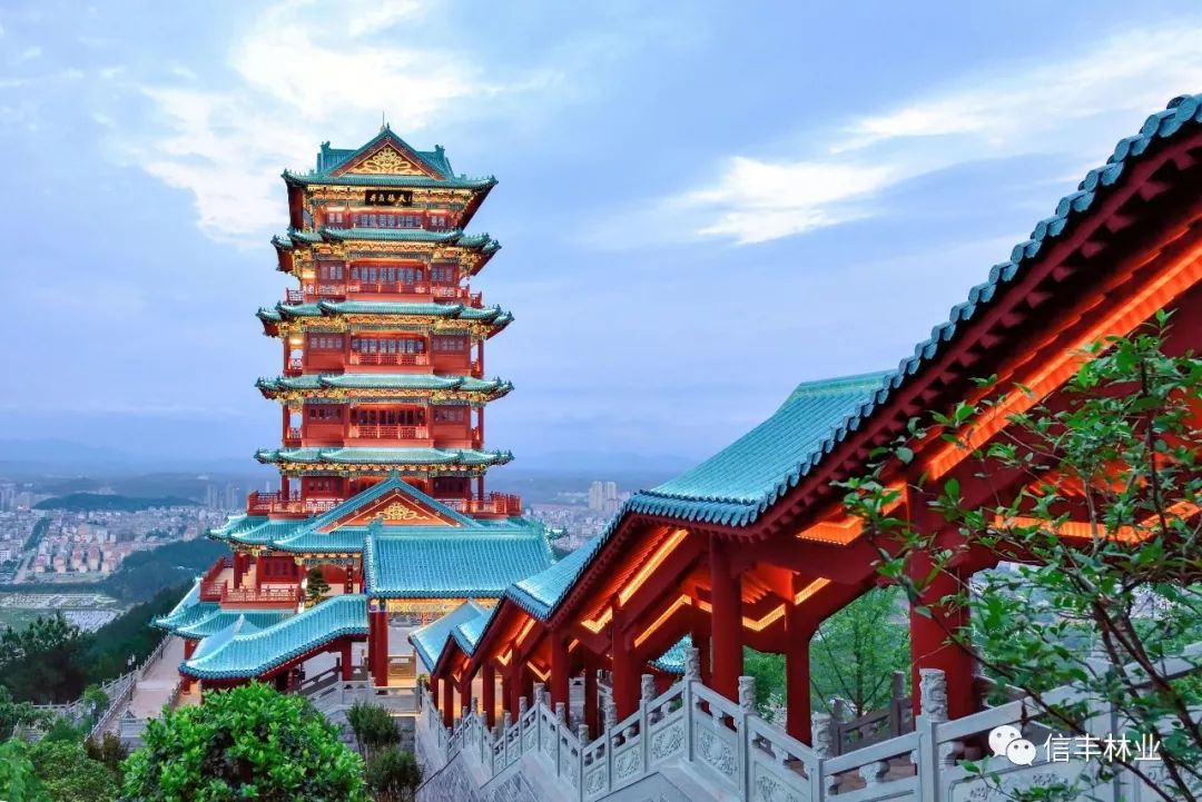 超赞信丰阁最新美图来袭不要错过哦