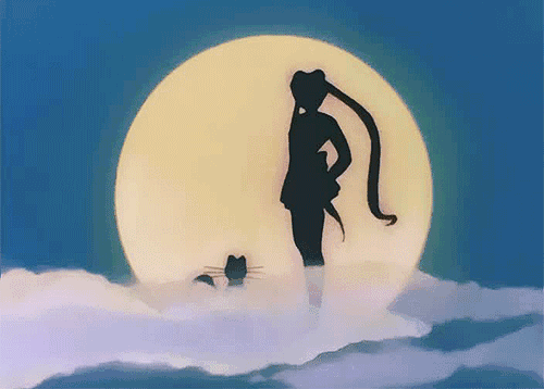 500_358gif 动态图 动图