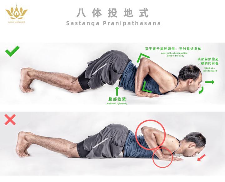 哈他正位图鉴(六) |  八体投地式