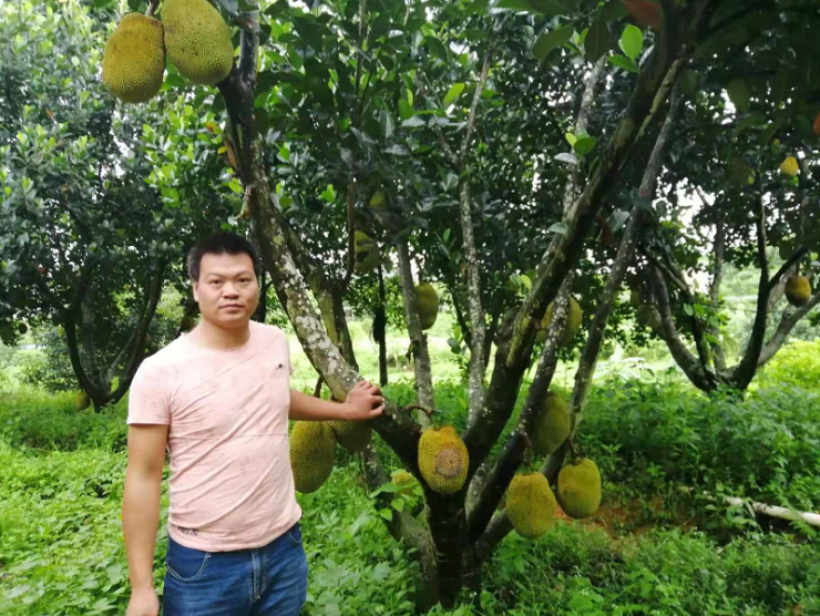 惠州花果山传奇庄园图片