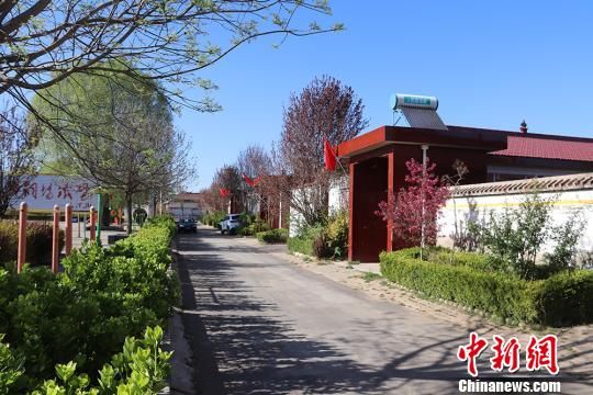 复员军人返乡创业任"村官":致富带头 "霖"润故土_李志霖