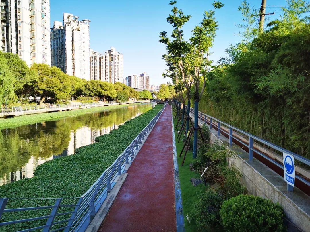 太惊艳8000㎡的水岸绿地即将对外开放后期增至约442946㎡