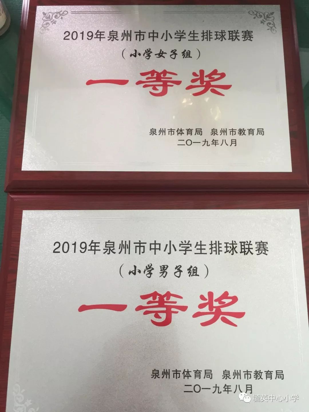 好样的毓英中心小学男女排球队荣获2019年泉州市中小学生排球联赛冠军