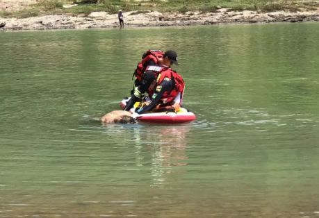 惋惜丽水一男孩游泳突发溺水不幸遇难年仅21岁