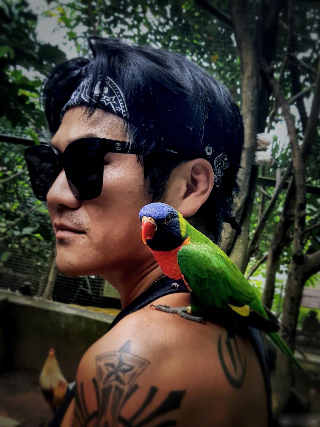 曹格女儿长大了女大十八变以前的包子脸不见了越来越好看了