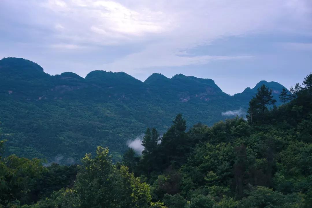 特稿丨小城映像67广元篇7情迷五指山