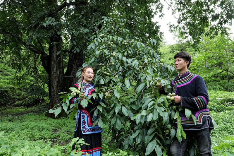 08沃底乡黑支落村2组严阿呷09梅子坪甘家沟村1组陈铭10棉桠乡核桃园村