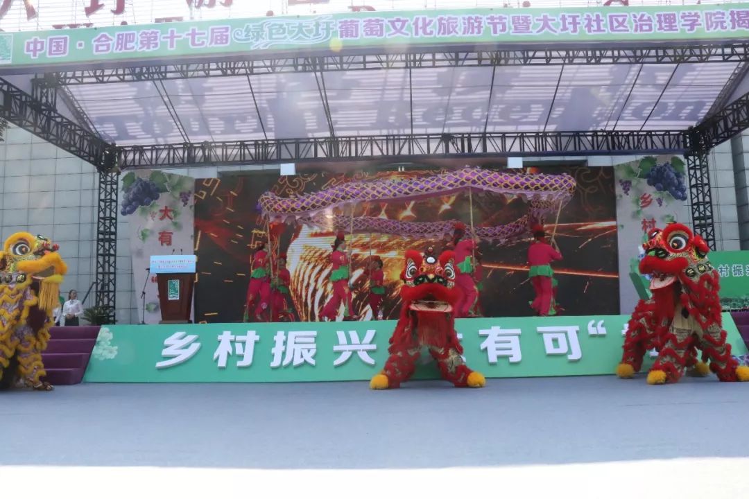 第十七届绿色大圩葡萄文化旅游节火热开幕未来两个月只圩你甜