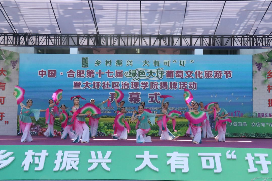 第十七届绿色大圩葡萄文化旅游节火热开幕未来两个月只圩你甜