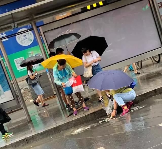 下雨挨浇图片