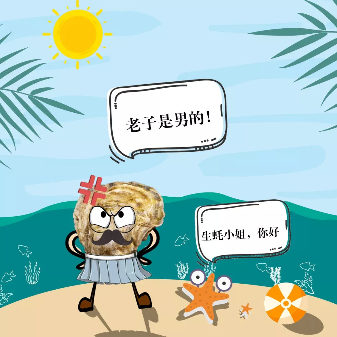 都说生蚝助性可有谁关注过生蚝的性生活乳山生蚝