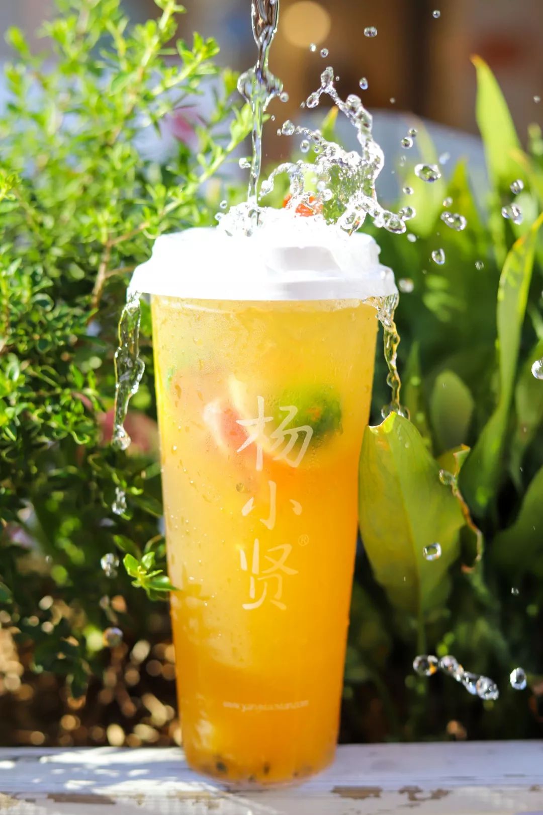 热04得04冒04烟04厦门10多肉雪山冰边吃边放彩虹屁