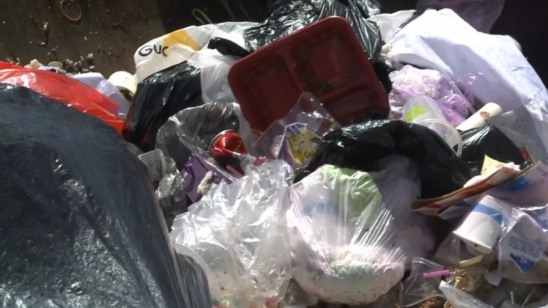 南宁一公寓楼下变成垃圾中转站?环卫站:物业不愿合作