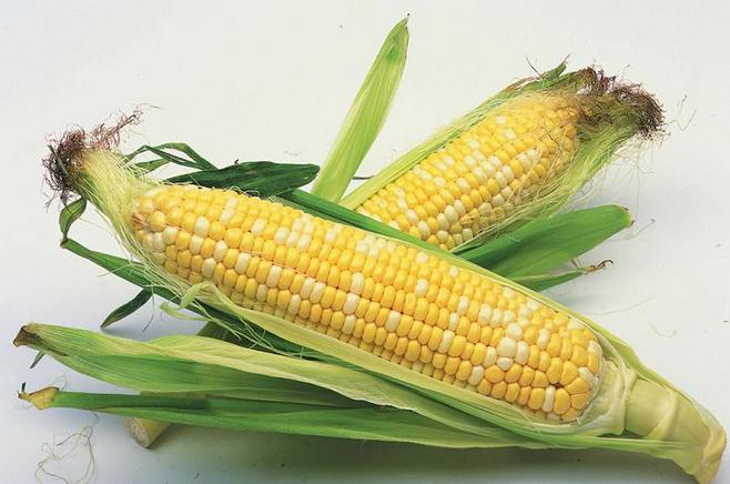 玉米加1物,强过吃保健品,防贫血,护眼睛,还能促排毒_芹菜